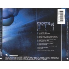 Newsboys - Remixed (CD)